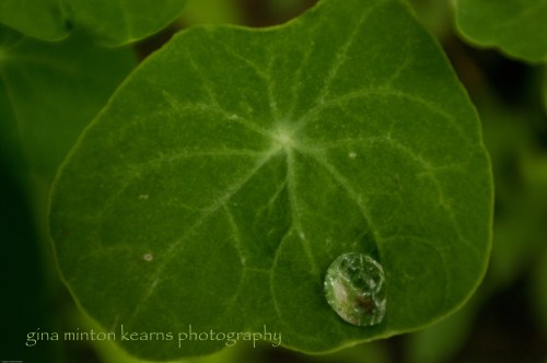it takes a single drop of rain to start a flood ...