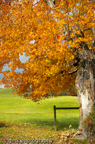 Autumn in Southwest Virginia