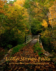 Little Stoney Falls, Southwest VA