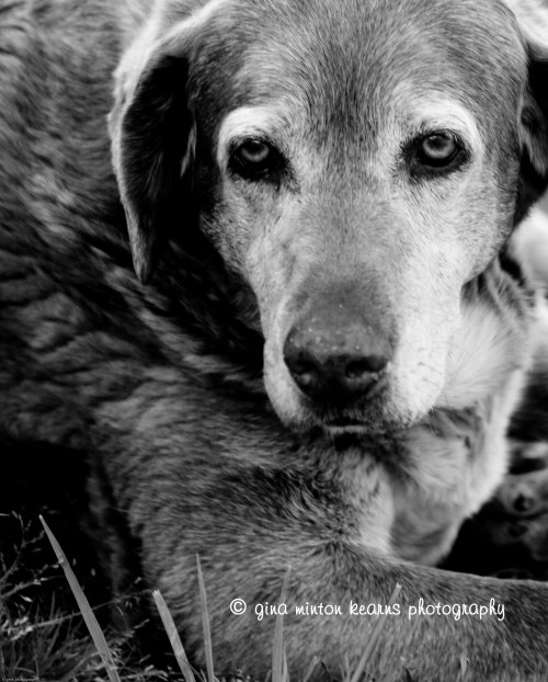 Through Abby's eyes ... i miss this sweet girl