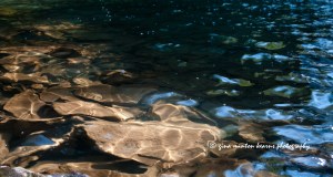 littlestoney_020913-161