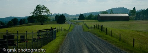 dogsflowersflagrockgoats-130