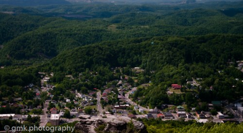 dogsflowersflagrockgoats-97