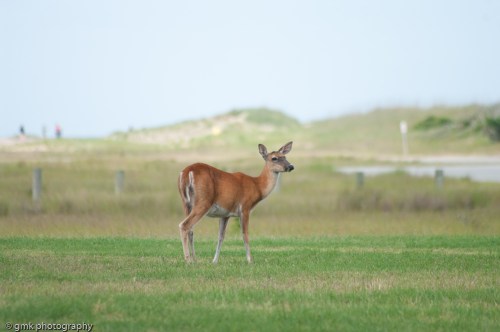 hatteras_lightning-71