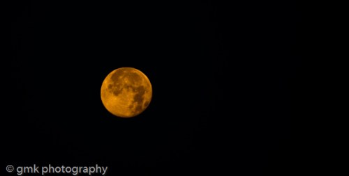 I love the moon, the moon loves me ... 