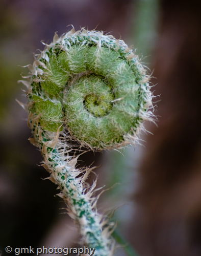 Each moment unfolds when it is meant ...