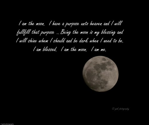 Like a moth to a flame, so the fireflies are drawn to the moon of summer.