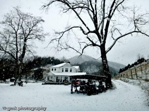 A snowy day at the base of Clinch Mountain