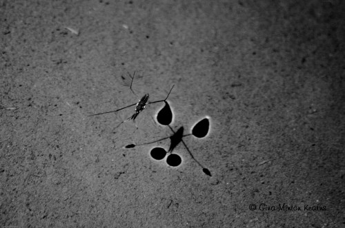 Hope makes us more than we really are.