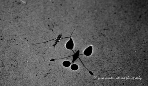 1382369386243_1.jpg image