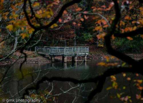 1383229234956.jpg image