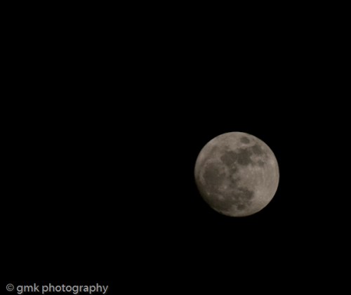 fullwolfmoon_january14-10.jpg image