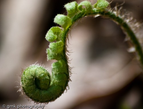 may_2014-44.jpg image