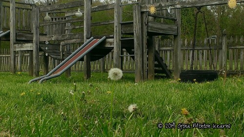 wp-1399504133080 image