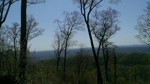 wp-1399773714521 image