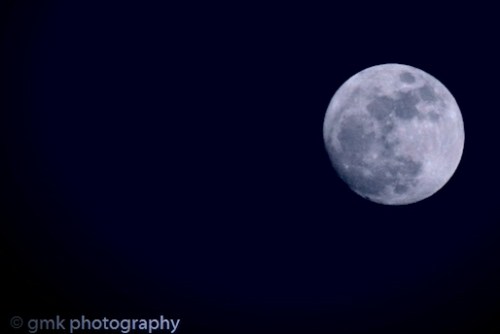 fullwolfmoon_january14-10_1.jpg image