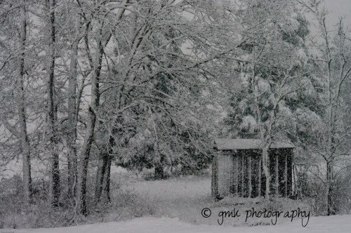 winter-picsay.jpg image