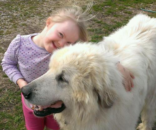 IMAG0076_1_1.jpg image