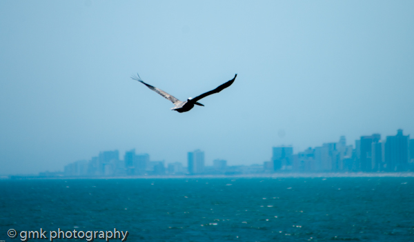 wpid-obs2013.jpg image