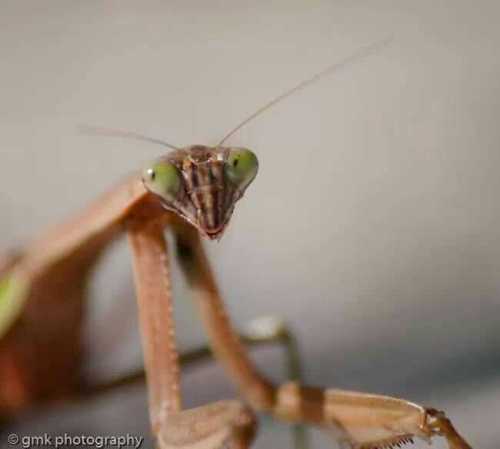 1383444402134.jpg image