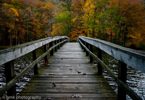 hungrymotherpk_oct2013 (4).jpg image