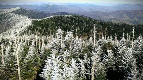 facebook_1481687296239