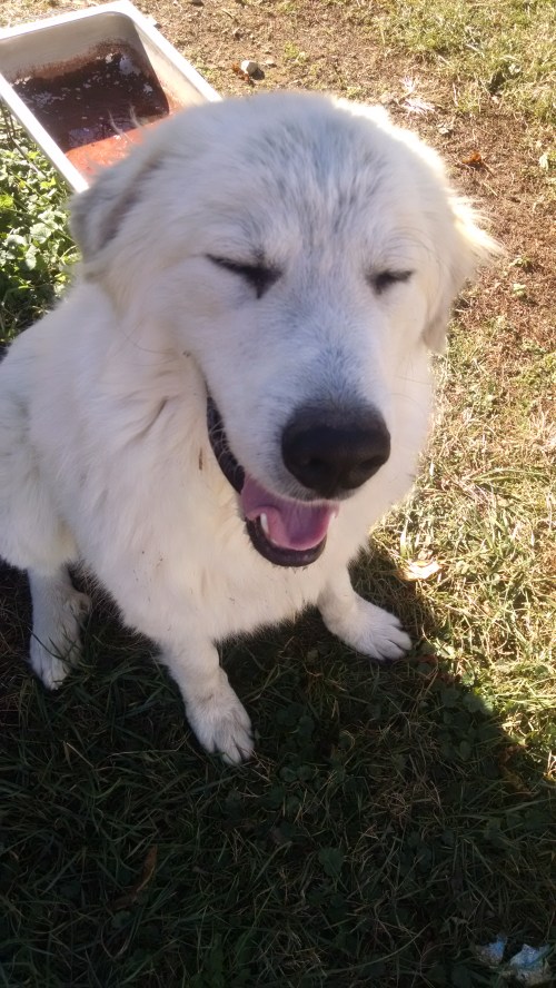 img_20161120_134427874